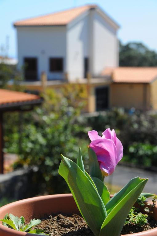 La Circumetnea Home Catânia Exterior foto