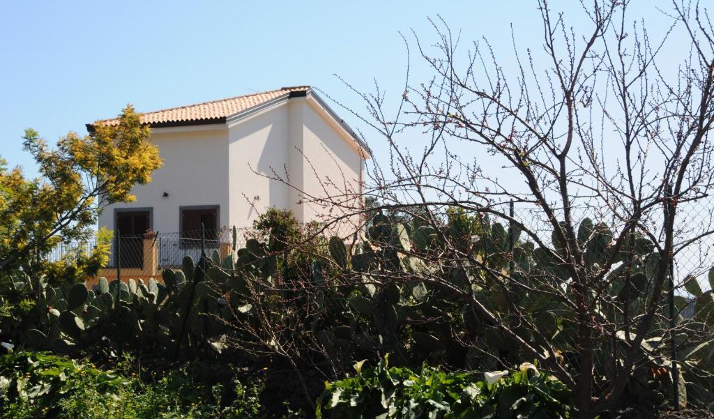 La Circumetnea Home Catânia Exterior foto
